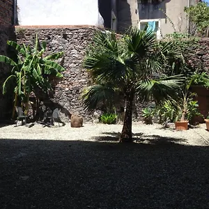 Alcala Living Катания